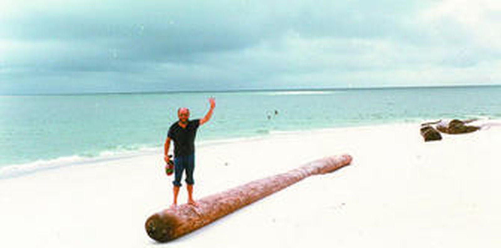 La vuelta al mundo de Zárate