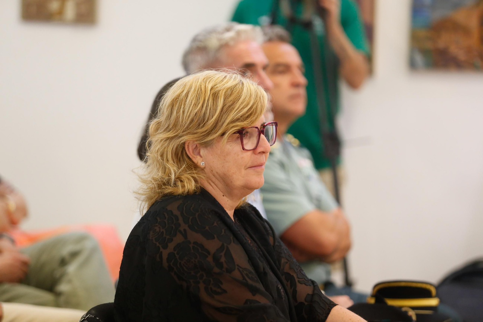 Las fotos del Pleno institucional por el 155 aniversario de La Línea