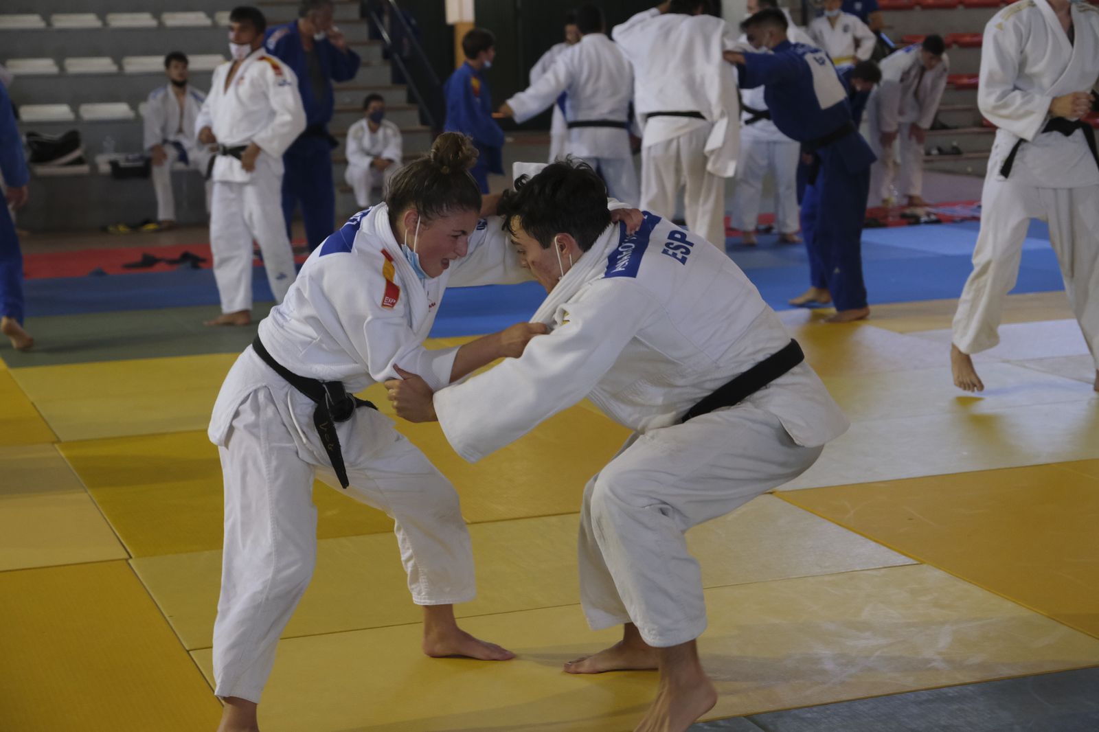 Fotogalería X Campus Internacional de Judo Ciudad de Almería