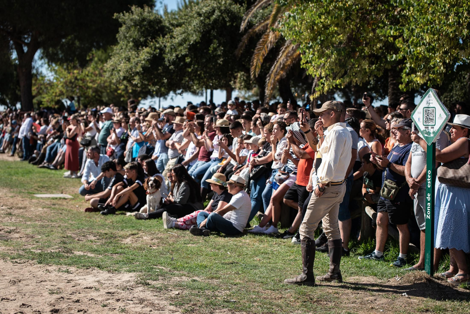 Imágenes de la Saca de las Yeguas a su paso por El Rocío