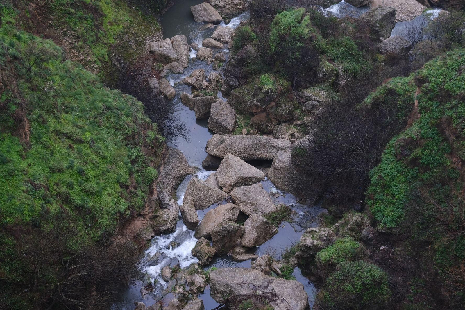 Las imágenes de la lluvia de la borrasca Karlotta en Ronda Las imágenes de la lluvia de la borrasca Karlotta en Ronda