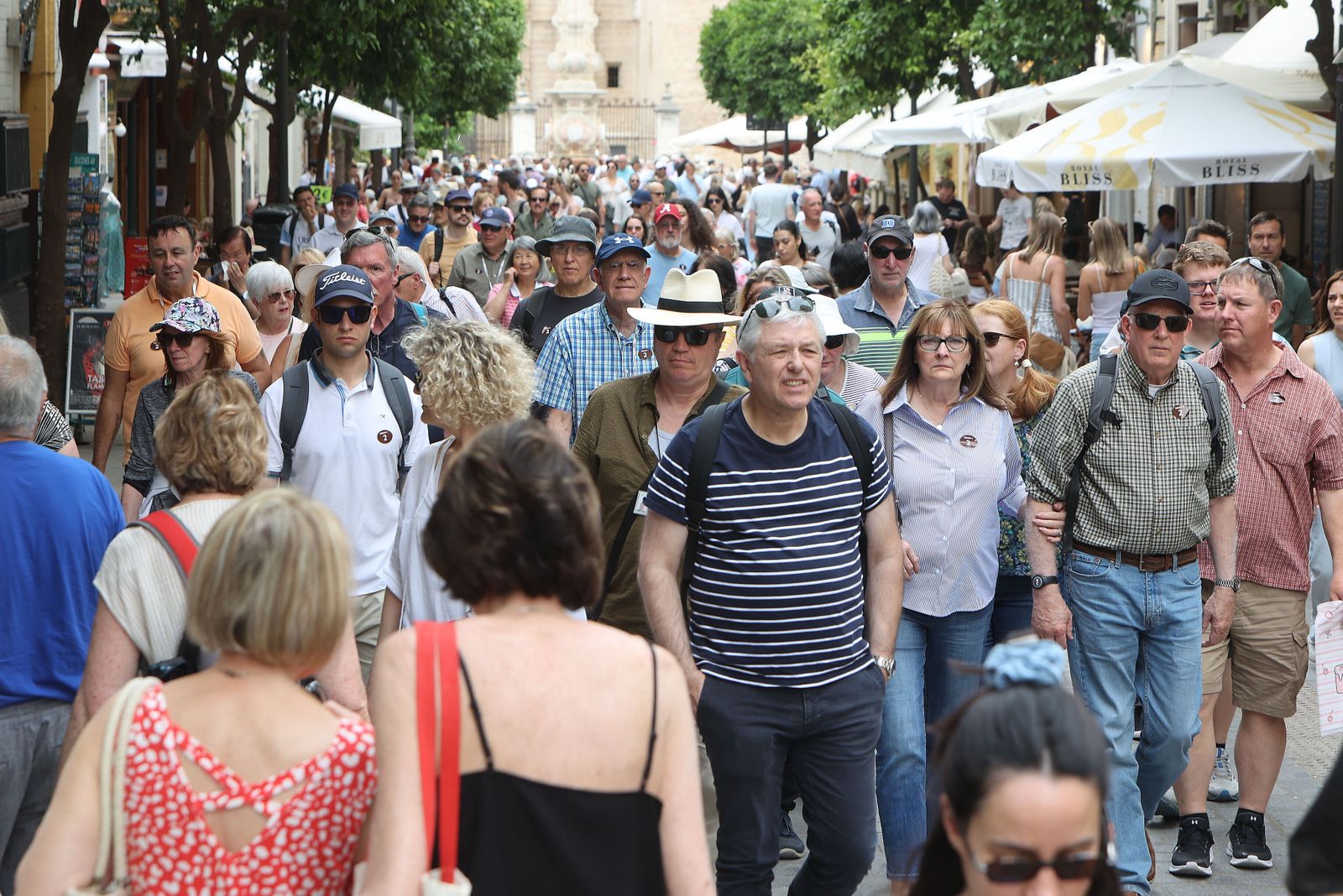 Una marea de turistas por la calle Mateos Gago.