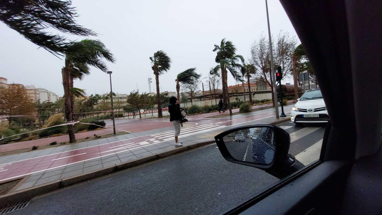 Las palmeras se mueven al son del viento en la capital.