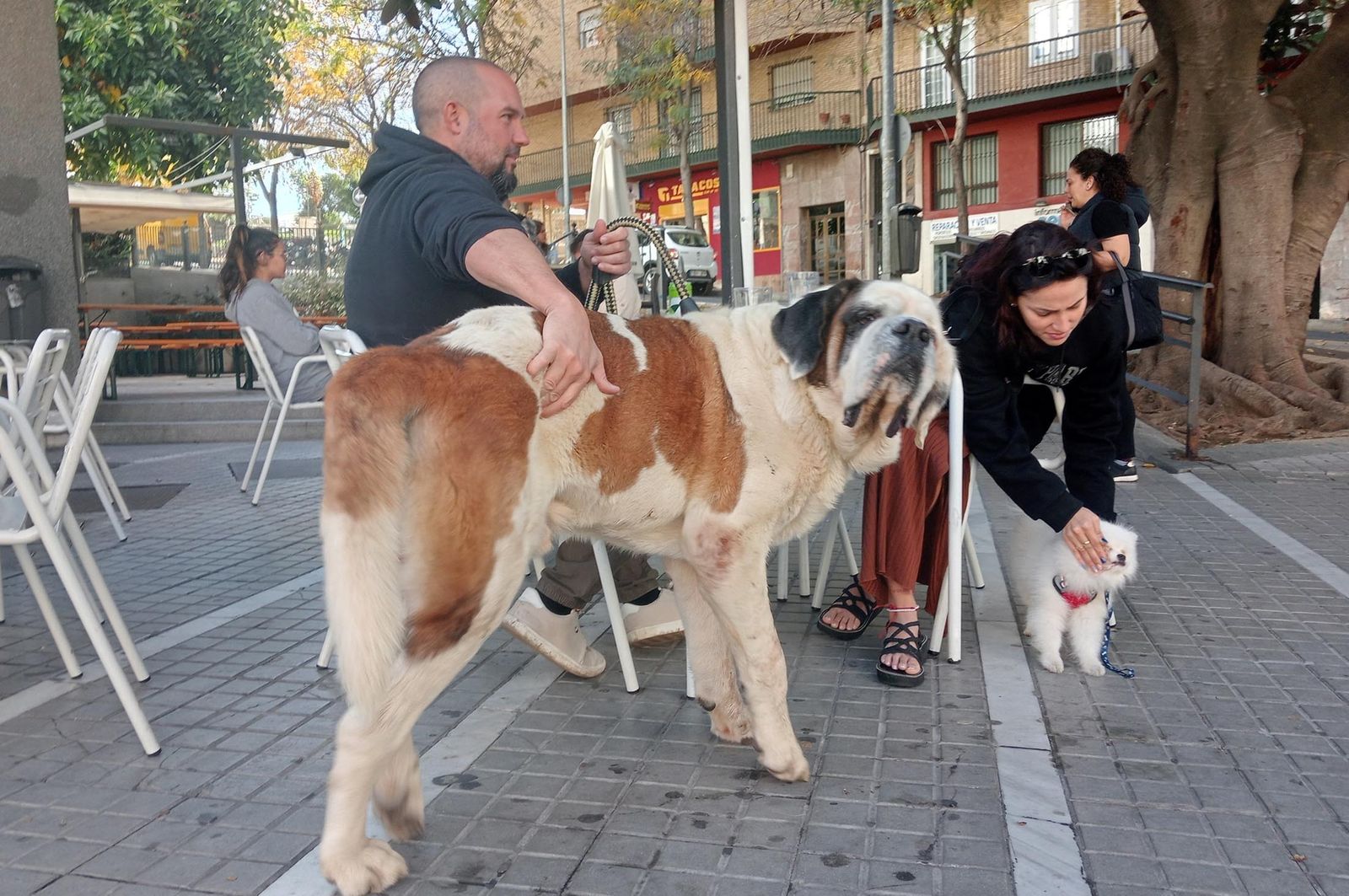Imágenes del sábado 18 de noviembre en Huelva