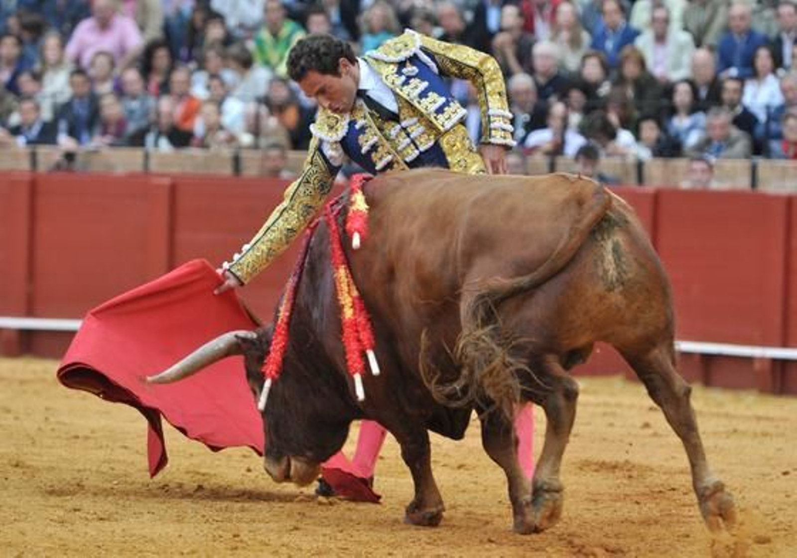 Derechazo de Salvador a un sexto manejable, aunque sin calidad.

Foto: Manuel Gómez