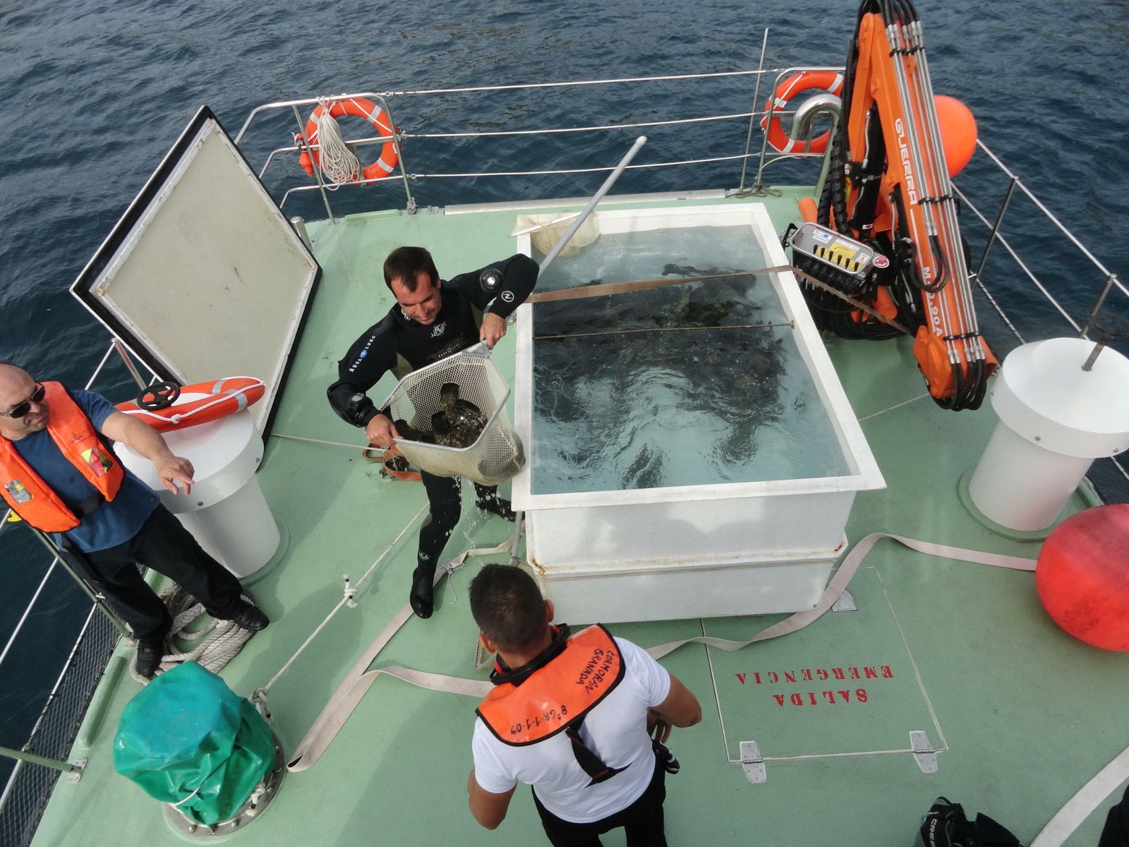 Nuevo acuerdo entre el Puerto de Motril y la UGR para la defensa del medioambiente