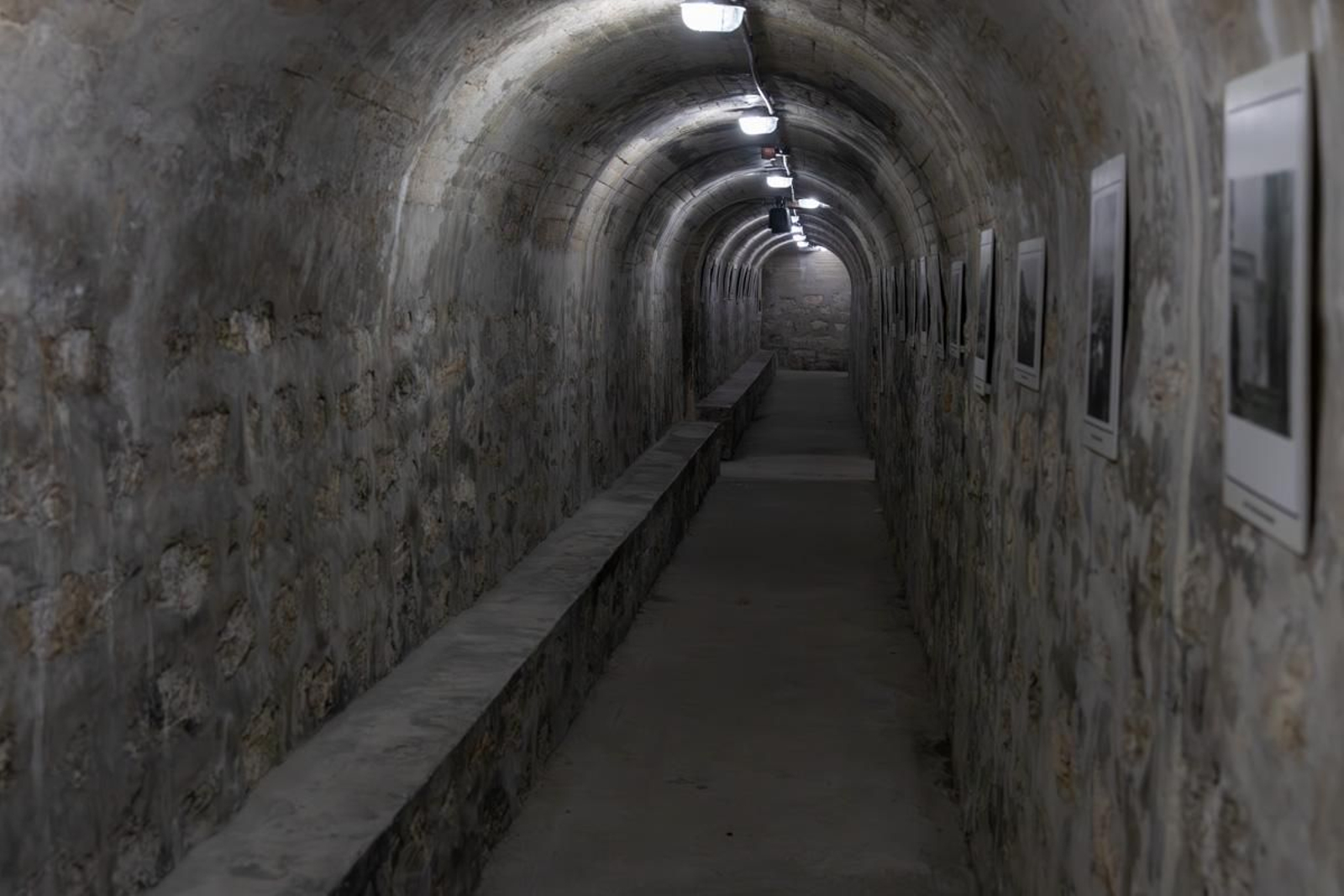 Survival Zomie Jaén, en imágenes