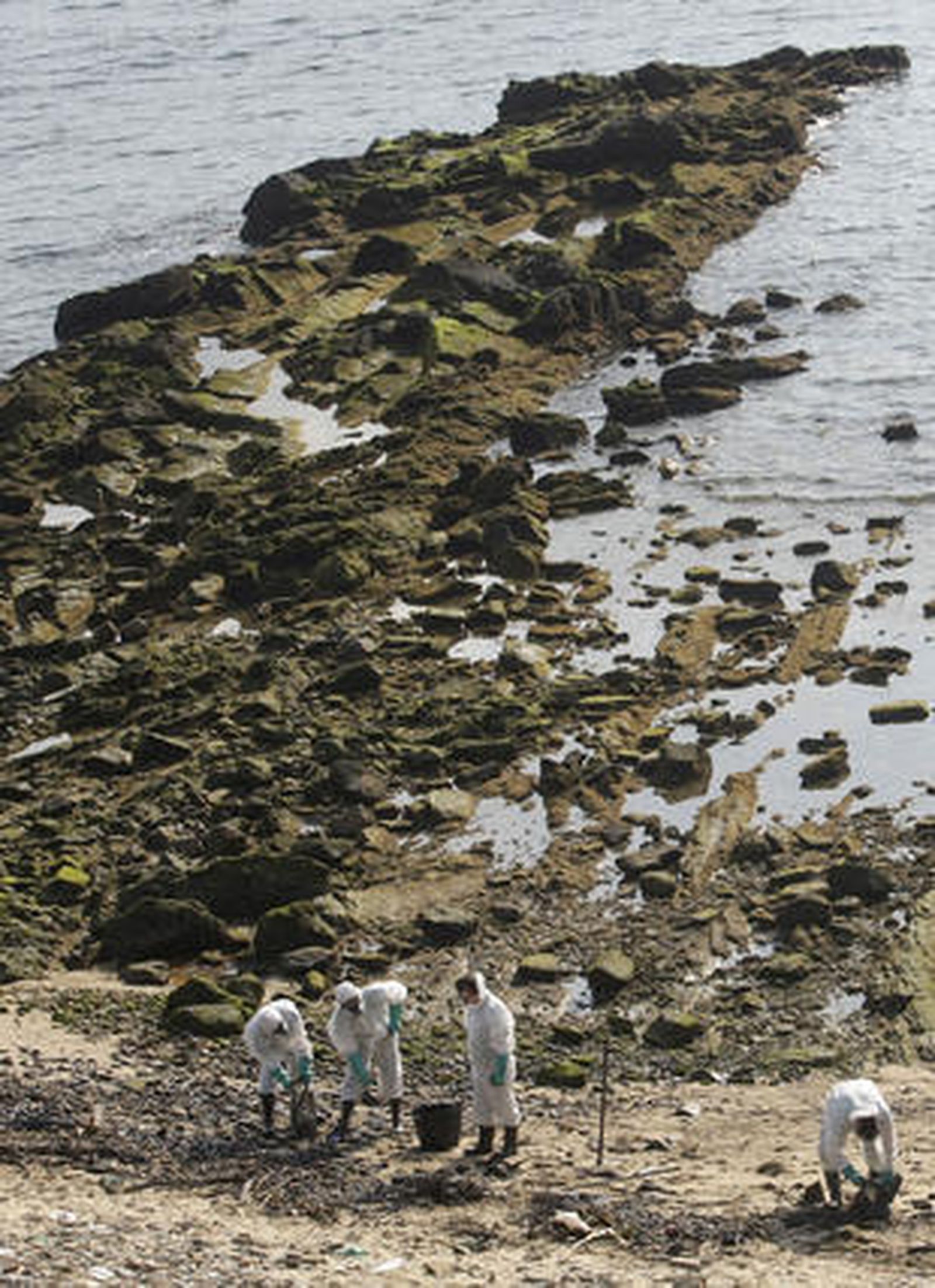 Desplegado el dispostivo de limpieza en la playa de Getares.  Foto: Erasmo Fenoy