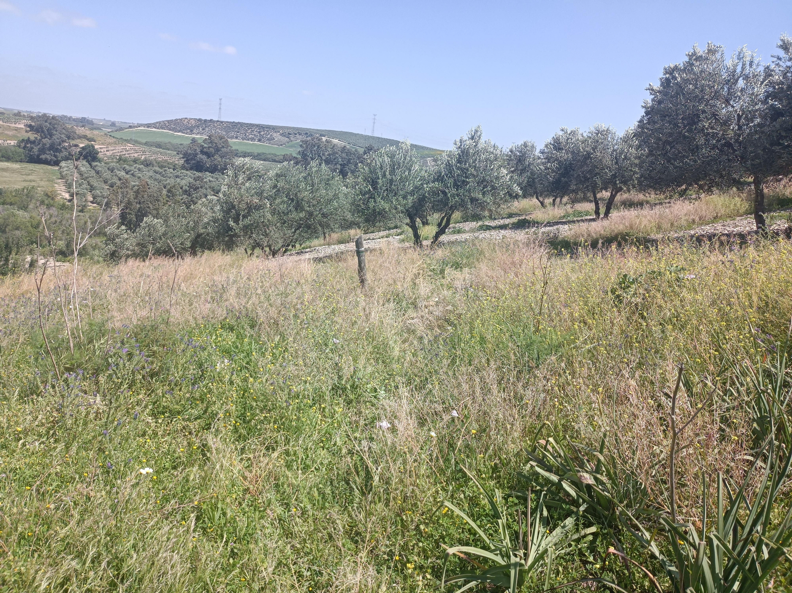 Las imágenes de la ruta alrededor del Castillo de Luna