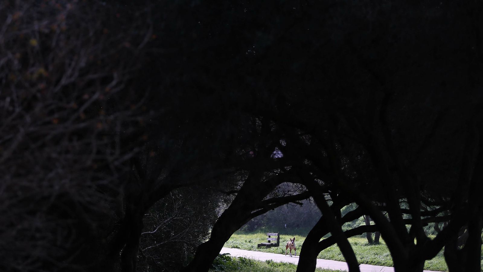 Las mejores fotos del parque fluvial del Río Pícaro