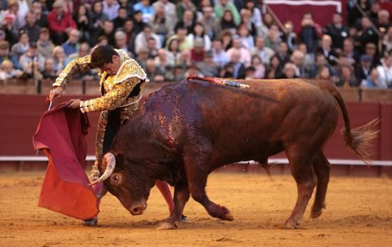 José María Manzanares, en una actuación pletórica de torería, se aleja de la Puerta del Príncipe por el fallo con la espada.  Foto: Juan Carlos Muñoz