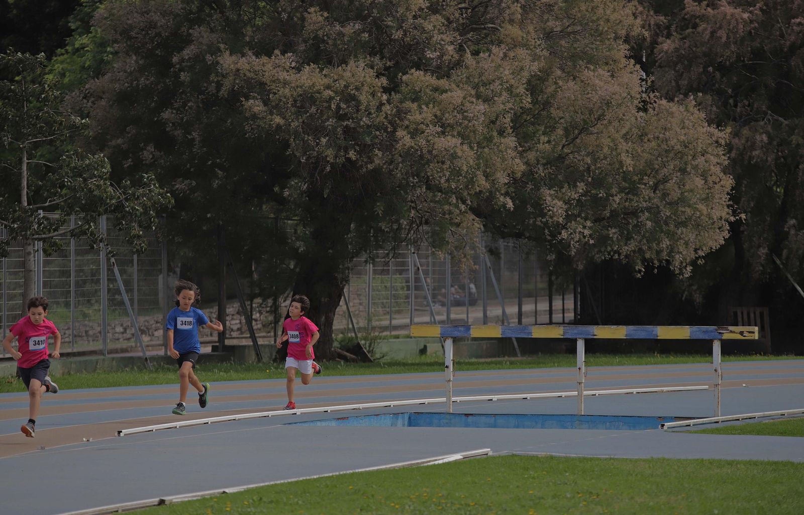 Las fotos de los Juegos Municipales de Atletismo de Algeciras de categoría sub-8 y sub-10