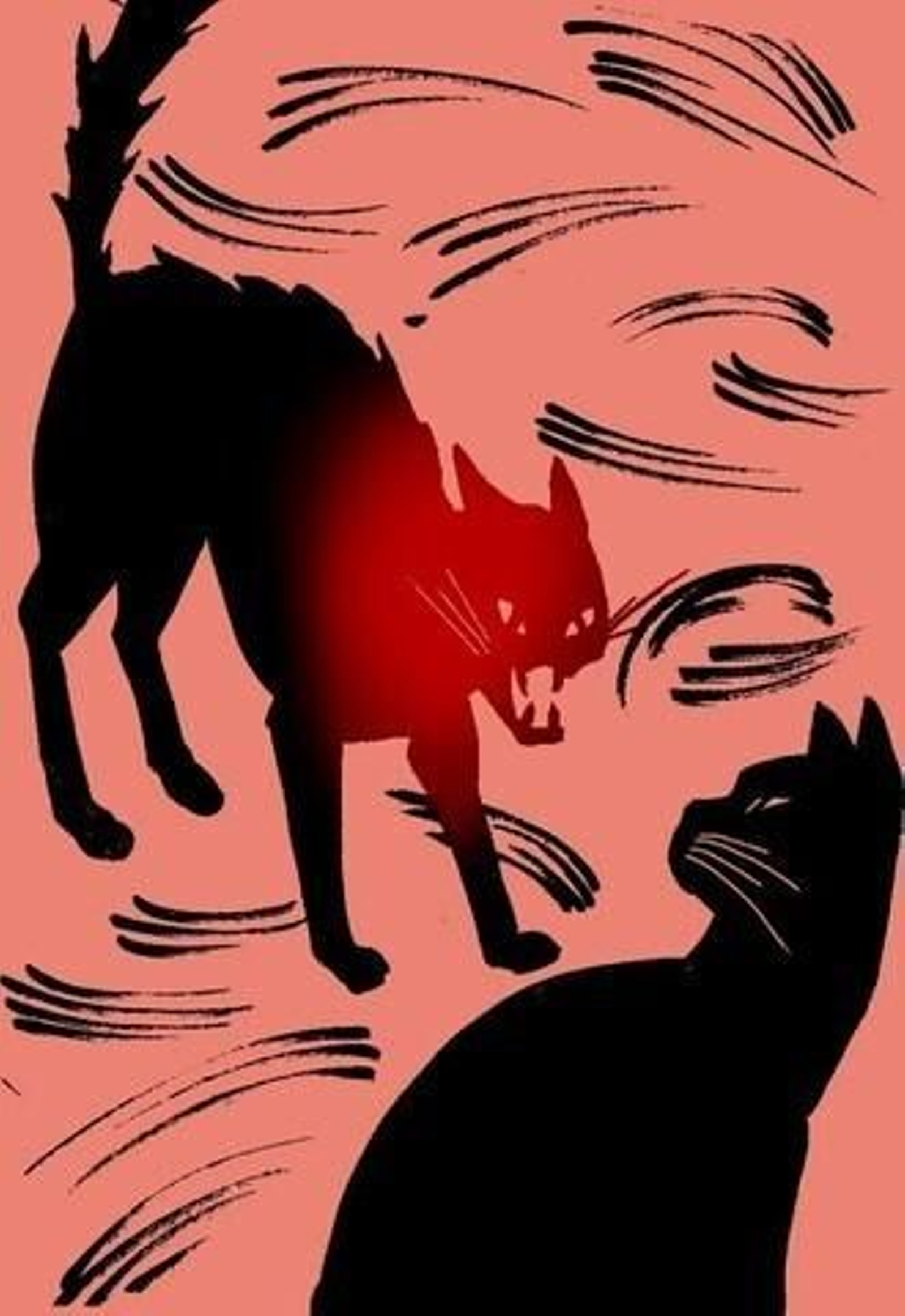 Antifascistas bastante fascistas