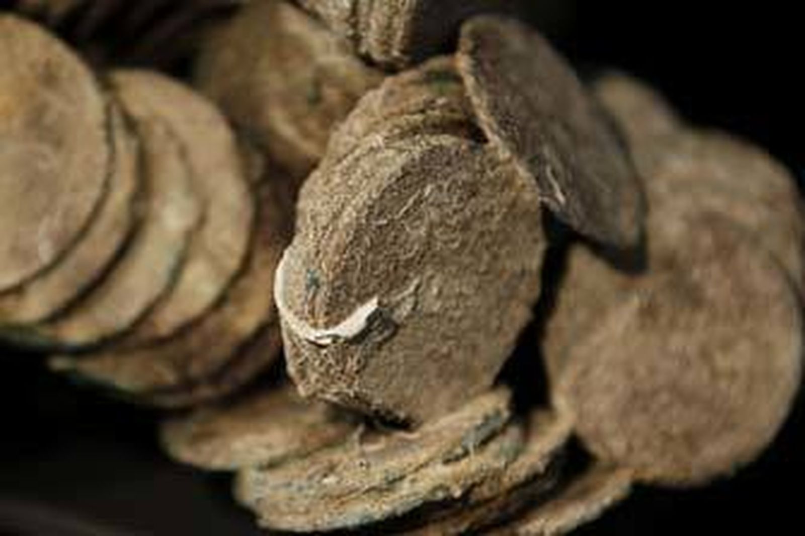 Monedas de plata apelmazadas y piezas de oro. /EFE