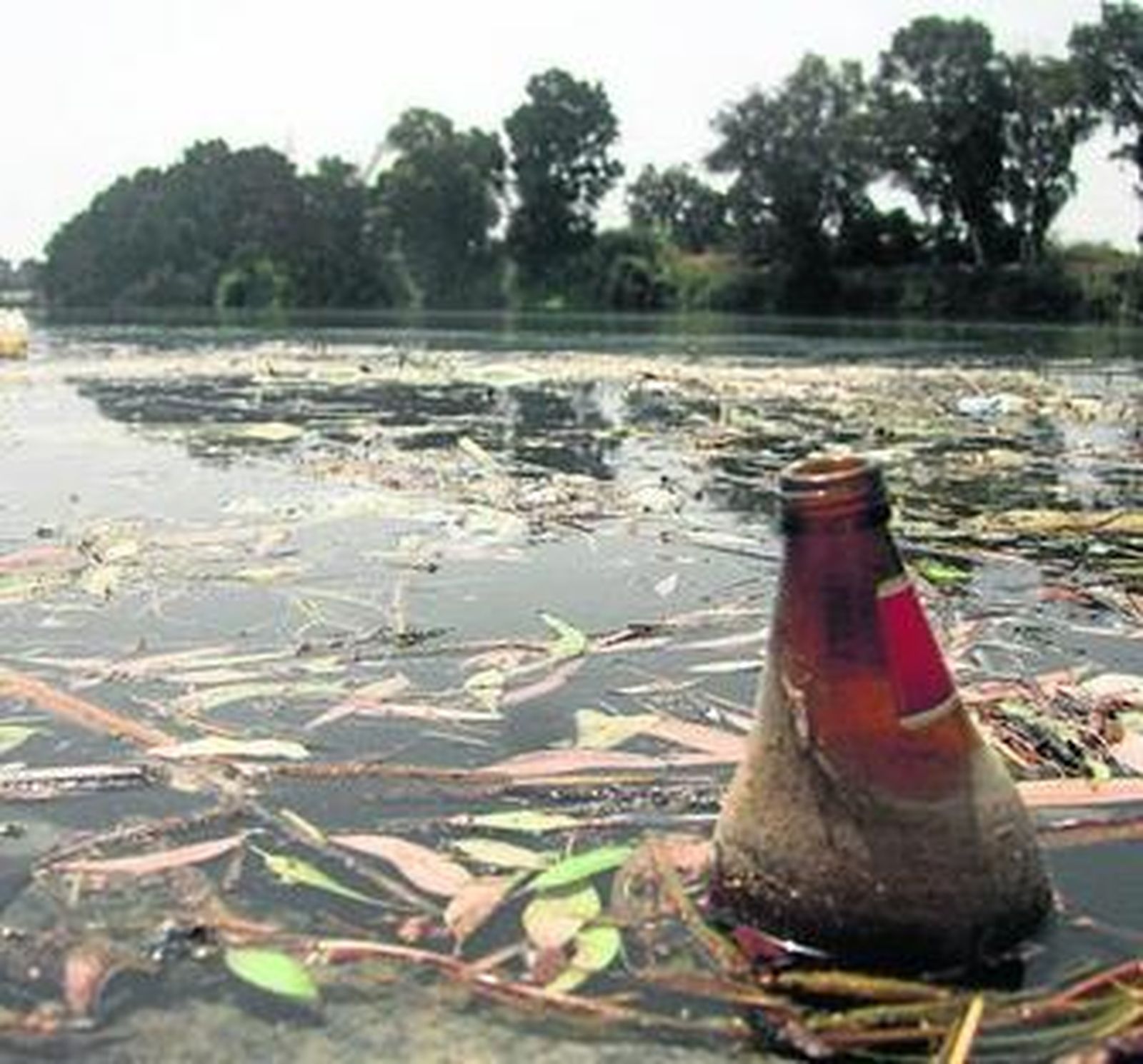Una botella flota entre la suciedad del agua, en la corta de San Jerónimo.