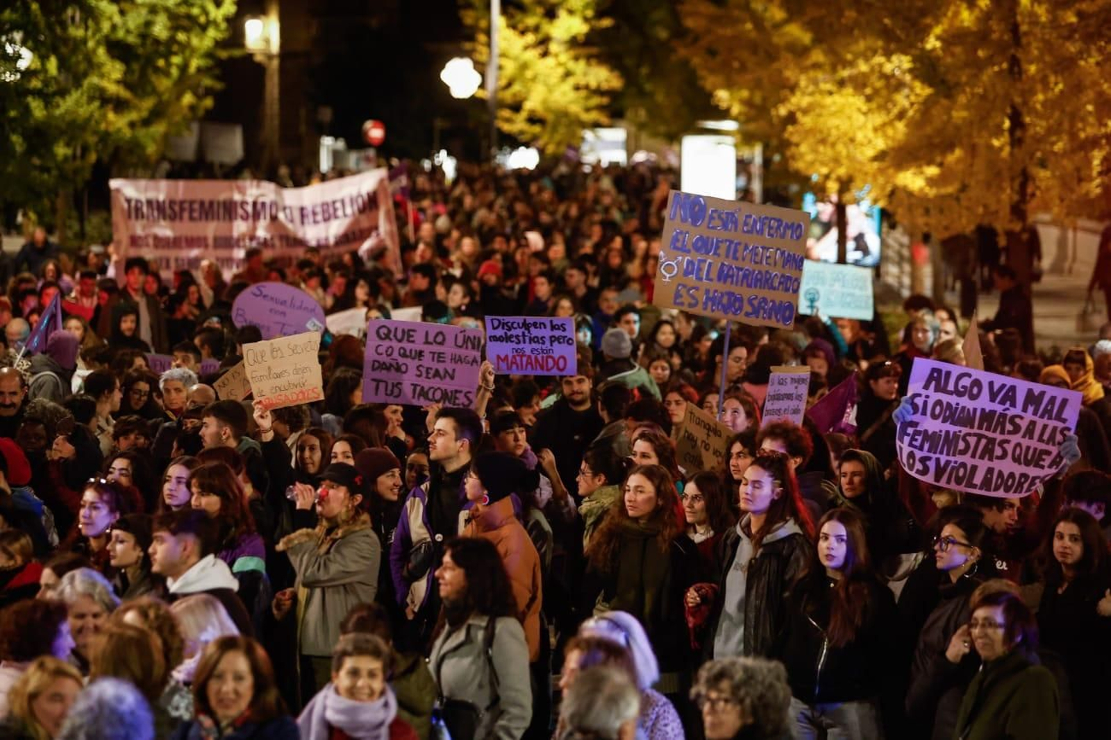 Miles de personas celebran el 25N y muestran en Granada su rechazo a la violencia contra la mujer