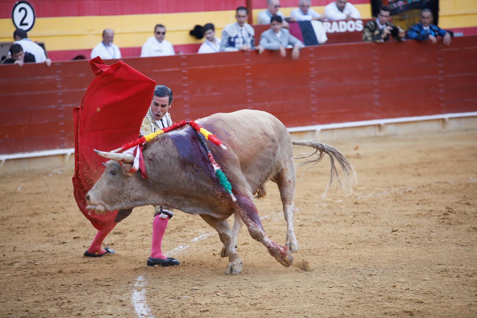 Imágenes de la corrida de toros en Roquetas de Mar