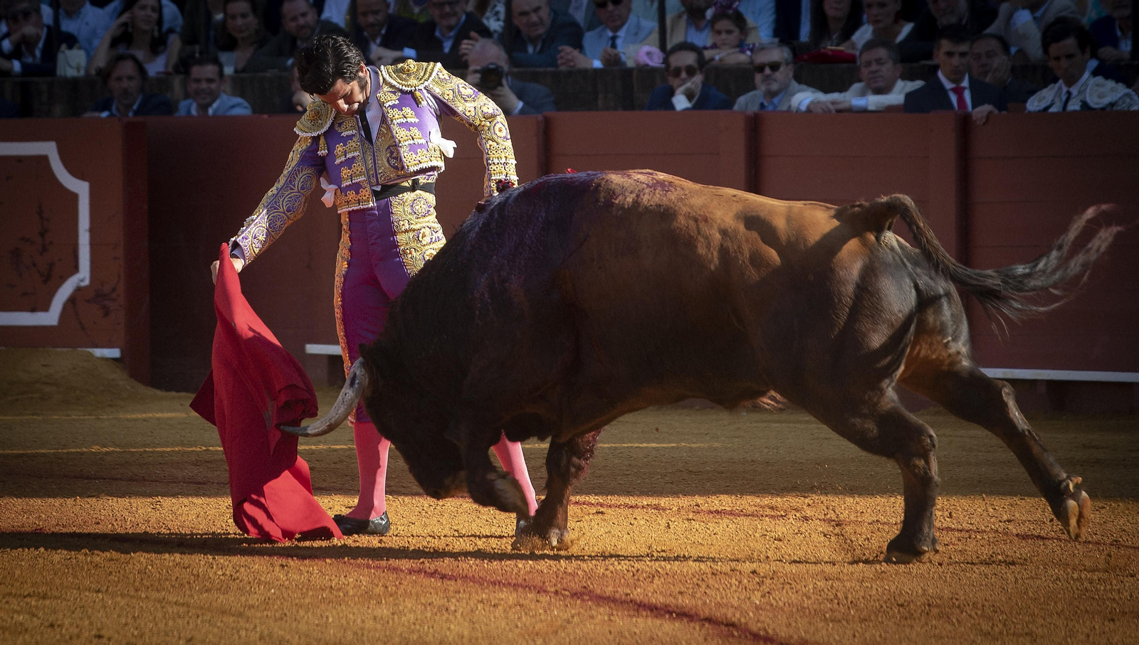 Las mejores imágenes del duodécimo festejo de toros