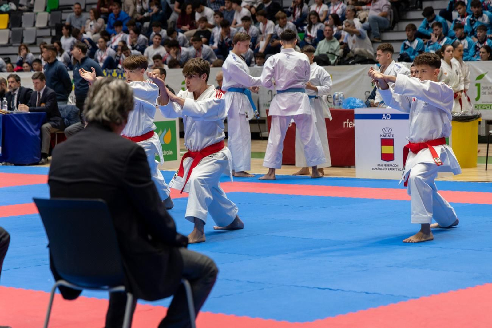 Campeonato de España de Kárate cadete, júnior y sub 21 brilla en Jaén