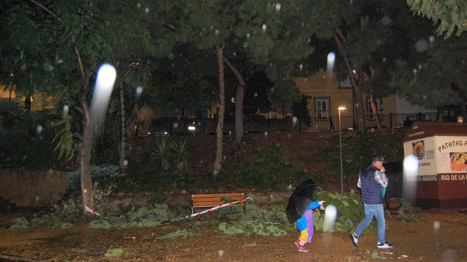 Restos de masa arbórea caída en el Parque de La Represa. Restos de masa arbórea caída en el Parque de La Represa.