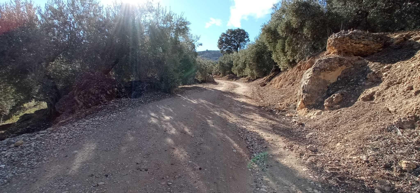 Las imágenes de la ruta del Bosque Encantado de Higueras