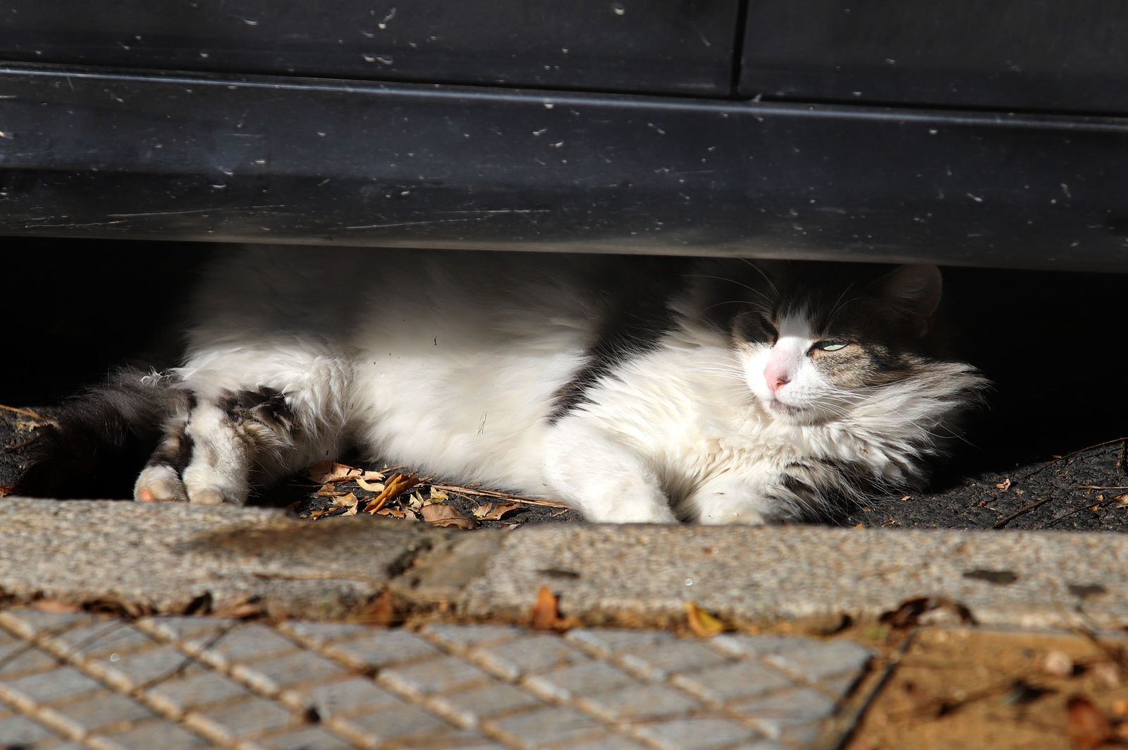 Imágenes del jueves 19 de noviembre en Huelva