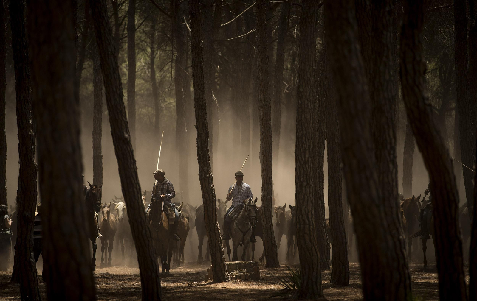 La Saca de las Yeguas, en imágenes