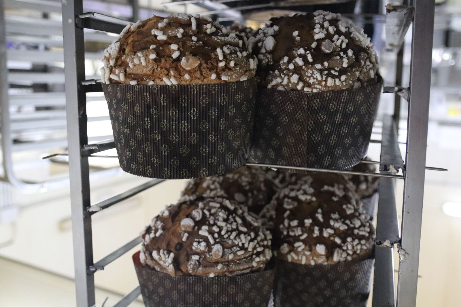 Panettones de Manu Jara en su obrador.