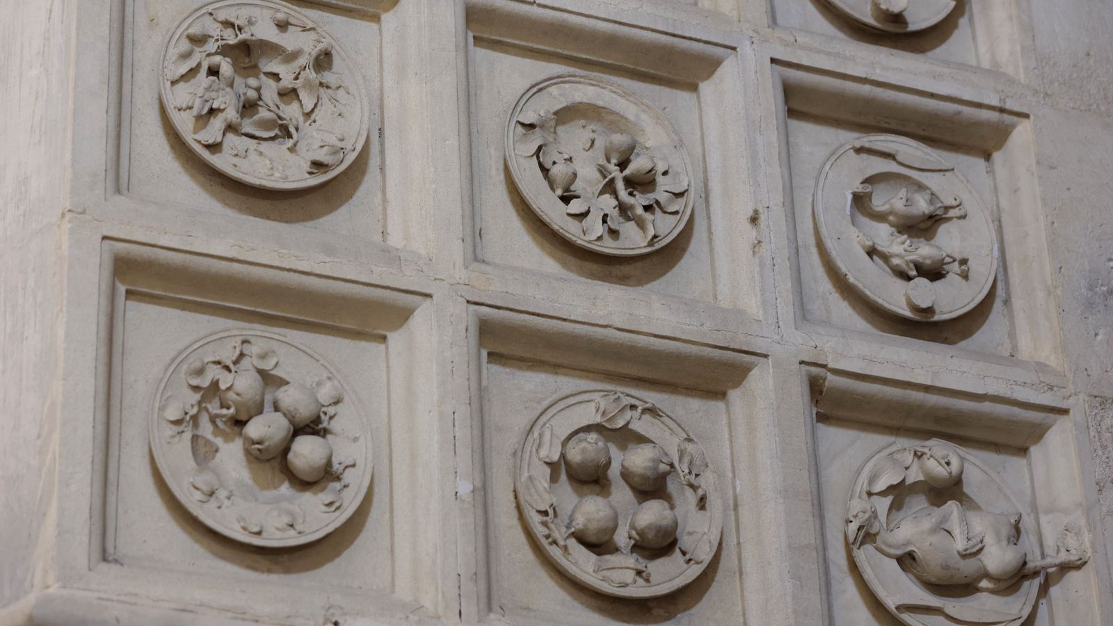 Detalles de algunos de los alimentos listos para ser cocinados.