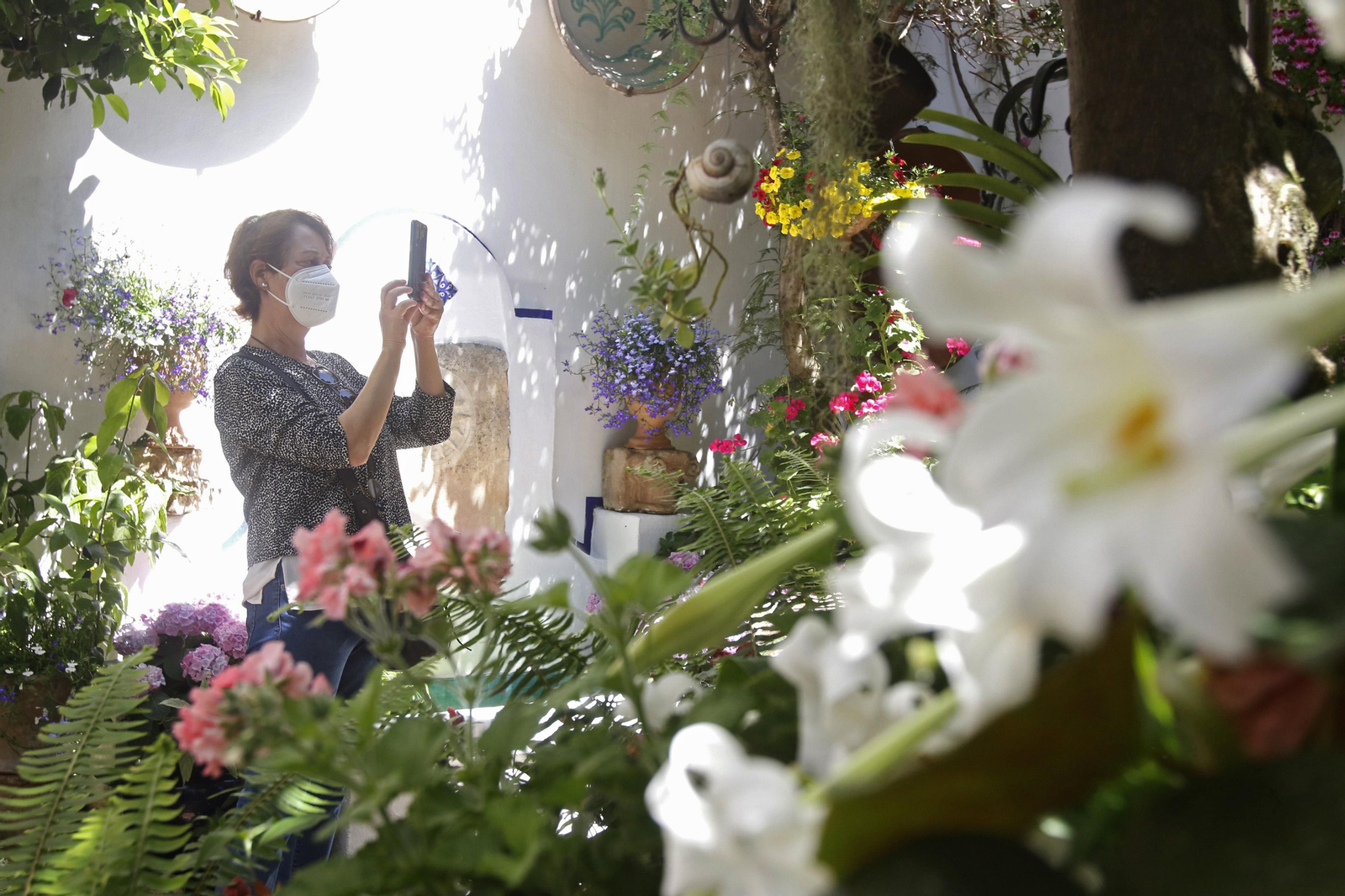 Ruta San Lorenzo de los Patios de Córdoba, en imágenes