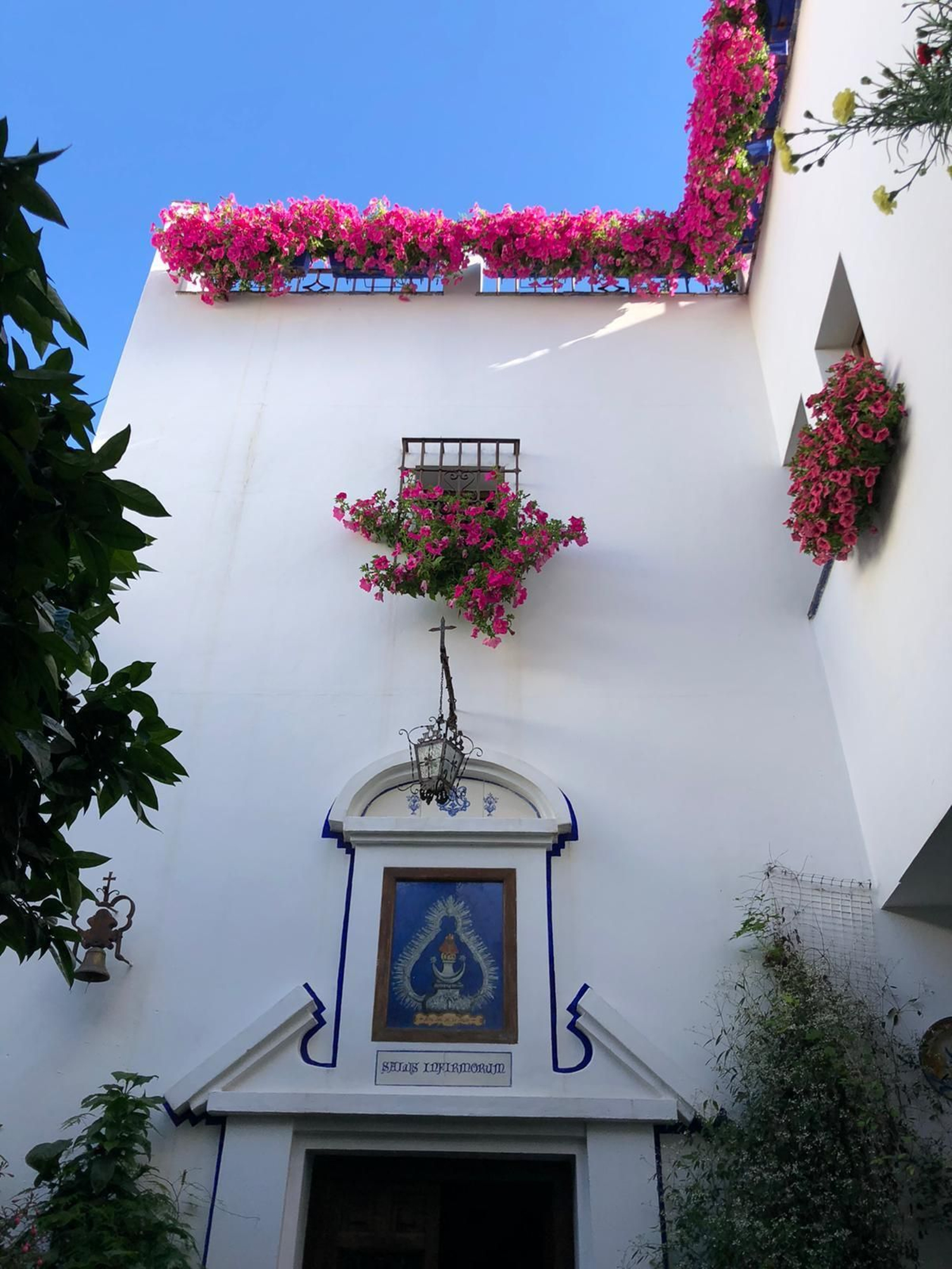 Las fotos de los Patios de Córdoba en este atípico mes de mayo