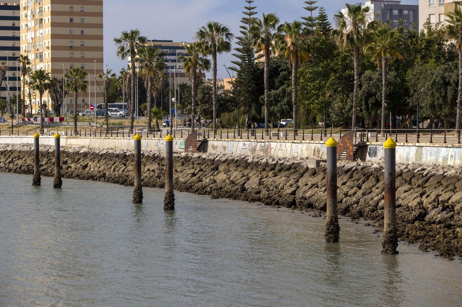 Las imágenes del mal estado de los paseos de Cádiz