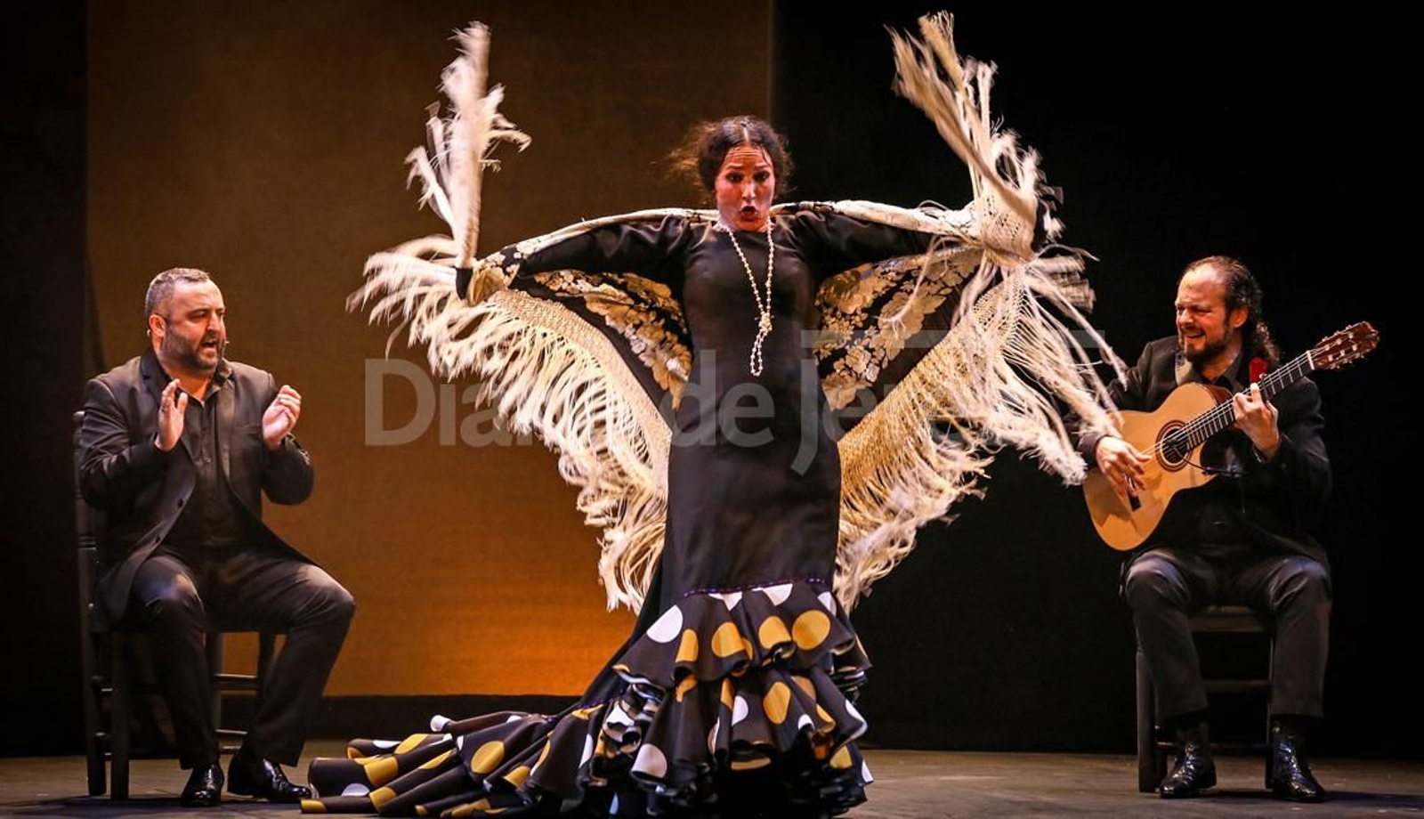Imágenes del espectáculo 'Recital Flamenco' de Concha Jareño