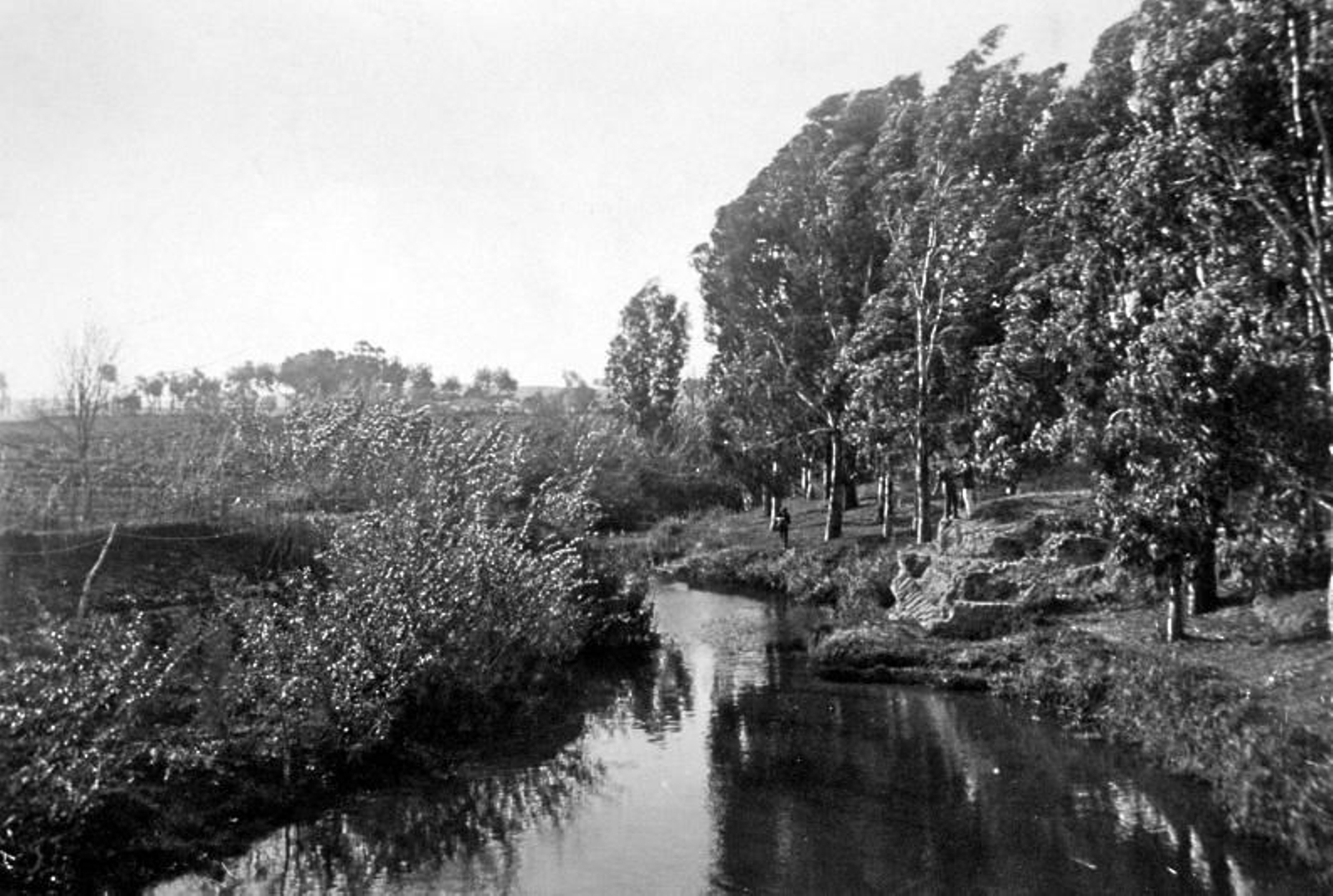 Cerro Naranja Cerro Naranja