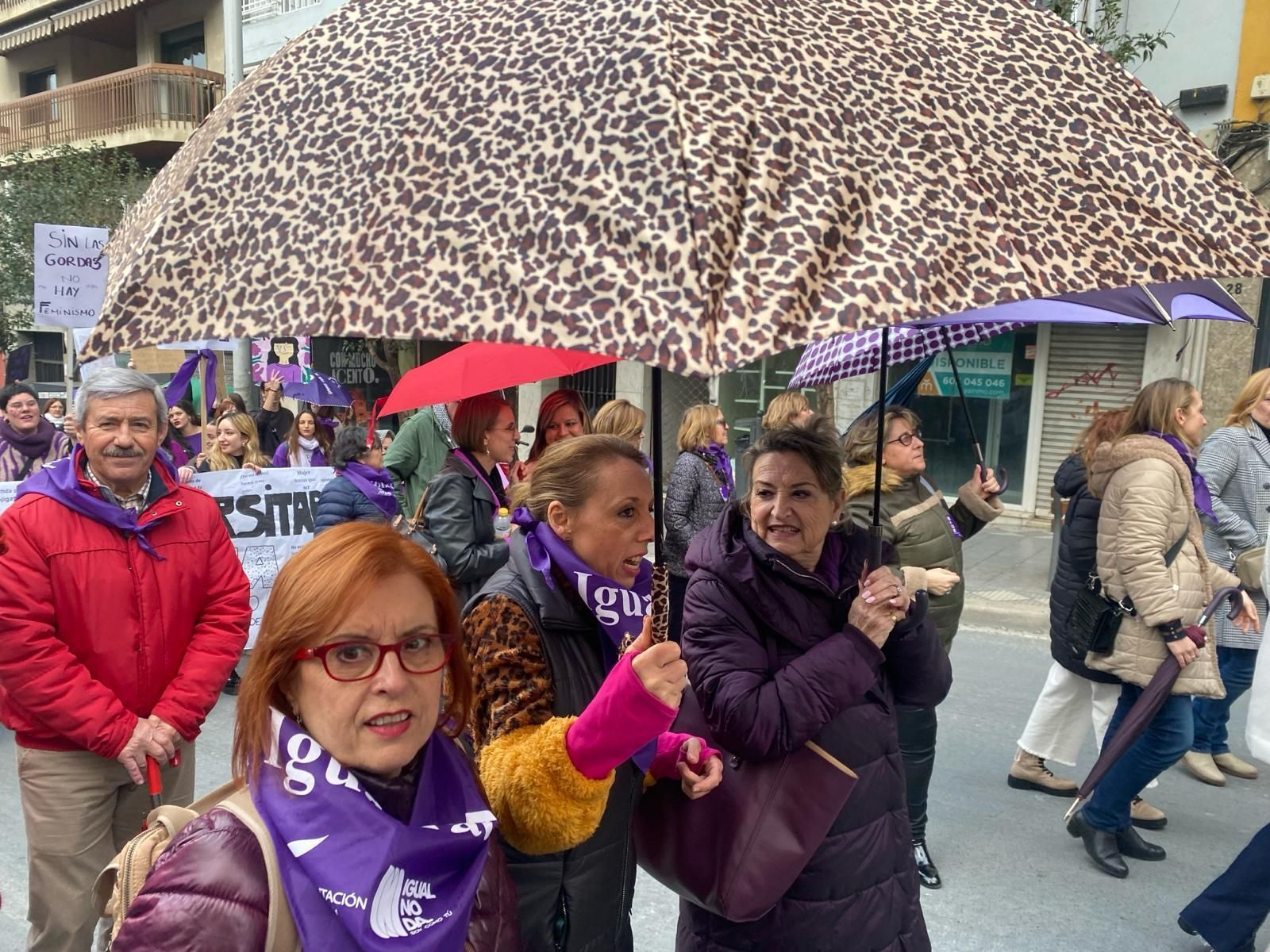 Manifestación del Día Internacional de la Mujer en Jaén.