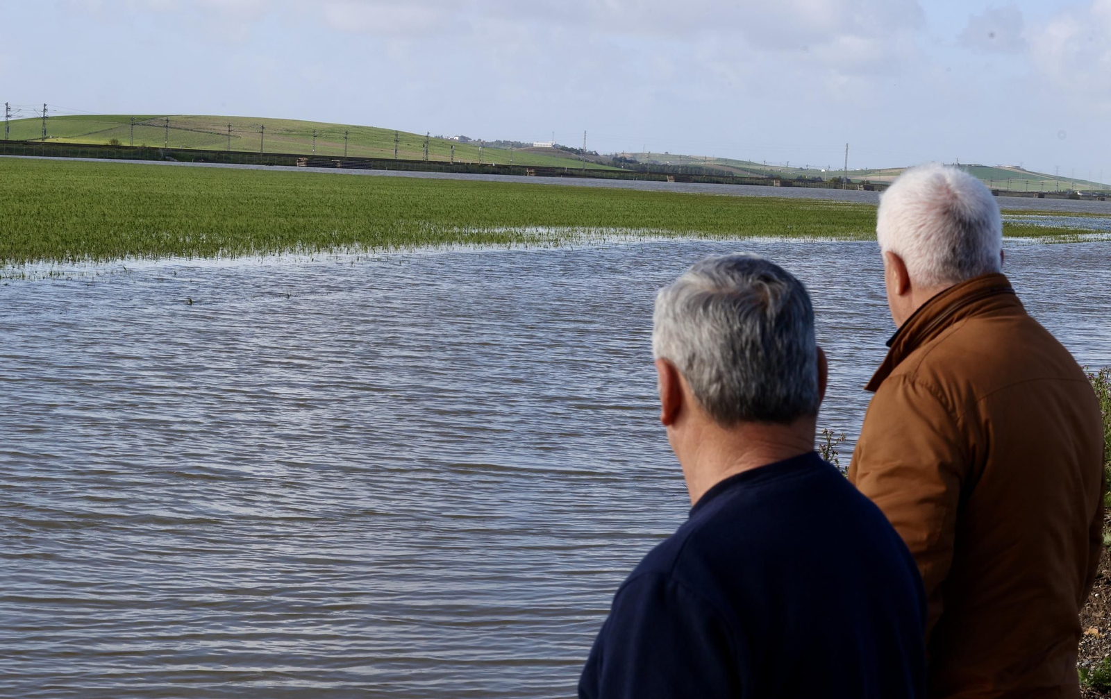 El campo en Lebrija inundado tras las lluvias