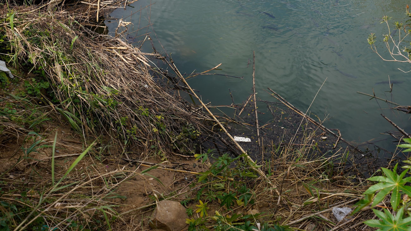 Fotos del río Pícaro y el arroyo del Lobo en Algeciras