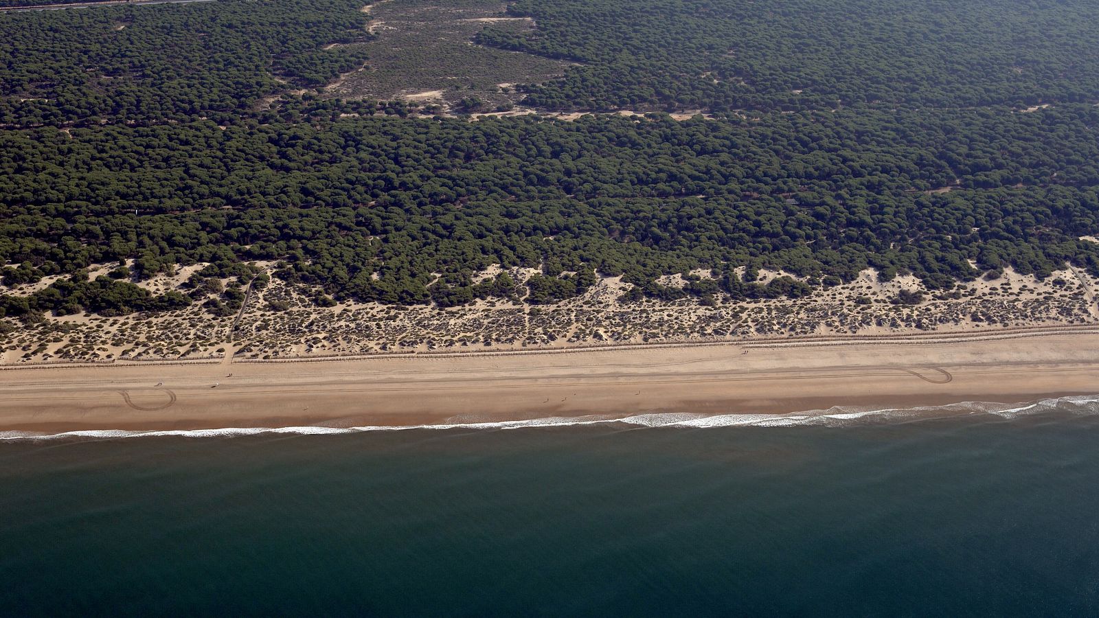 Vista aérea de Punta Umbría (Enebrales).