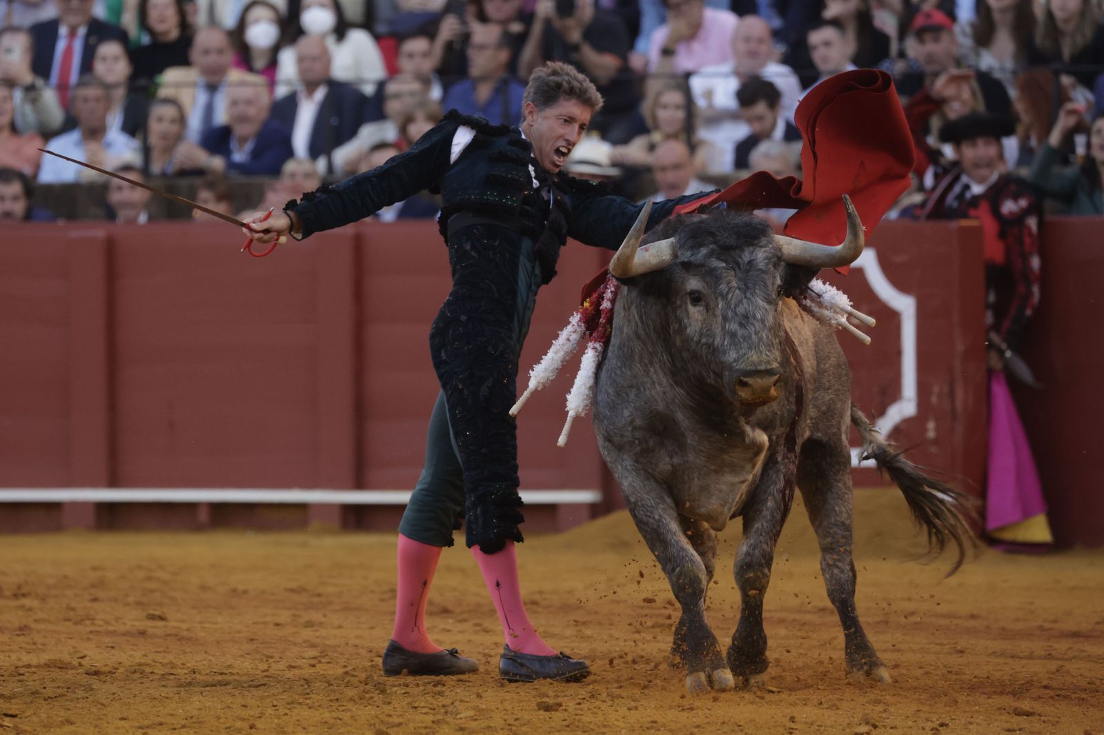 Las imágenes de la corrida de los Victorinos en la Maestranza de Sevilla