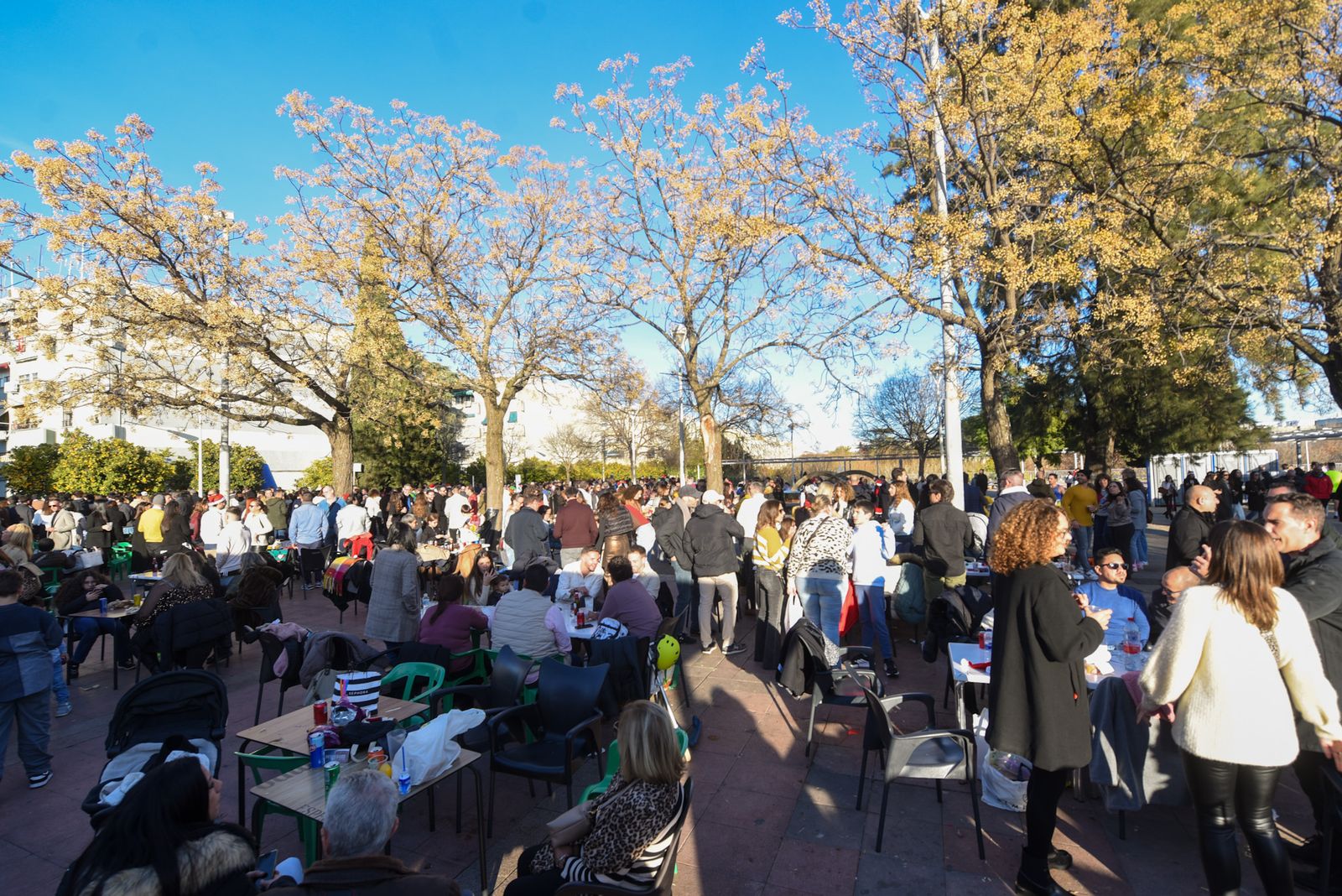 La Tardevieja en Córdoba para despedir 2025, en imágenes