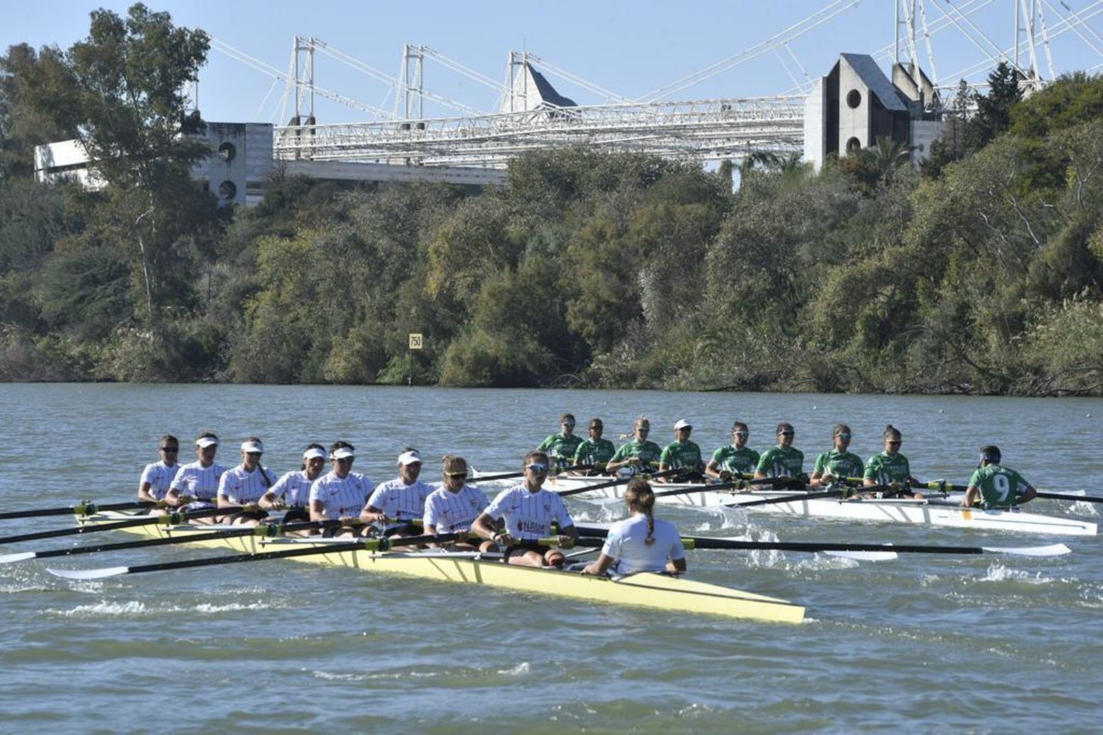 Las imágenes de la Regata Sevilla-Betis