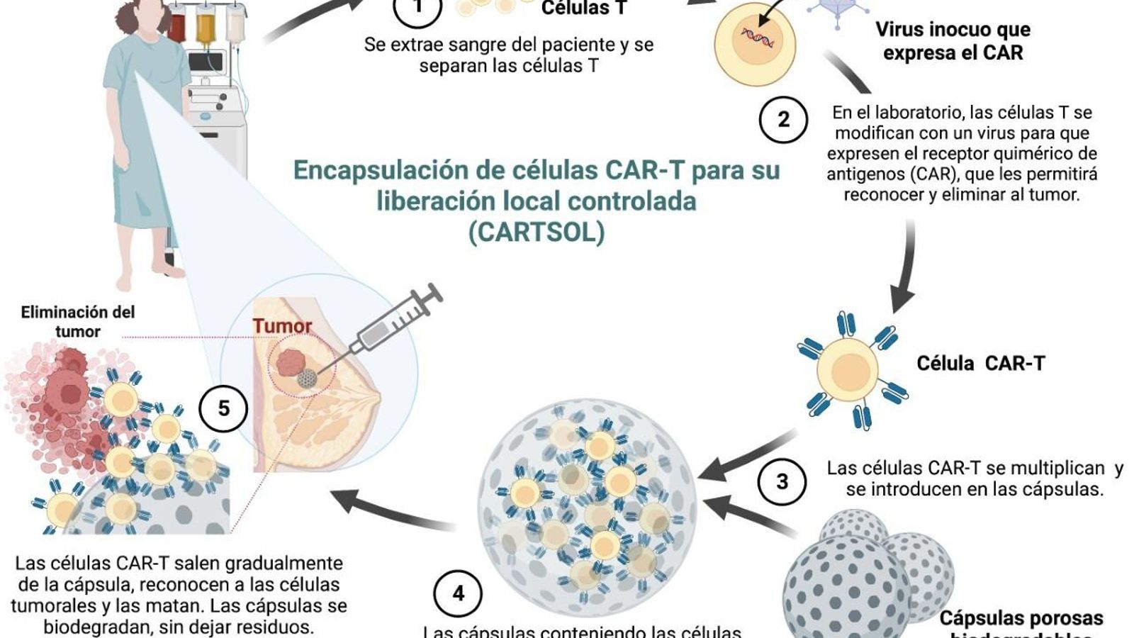 Gráfico realizado por la Universidad de Santiago de Compostela.
