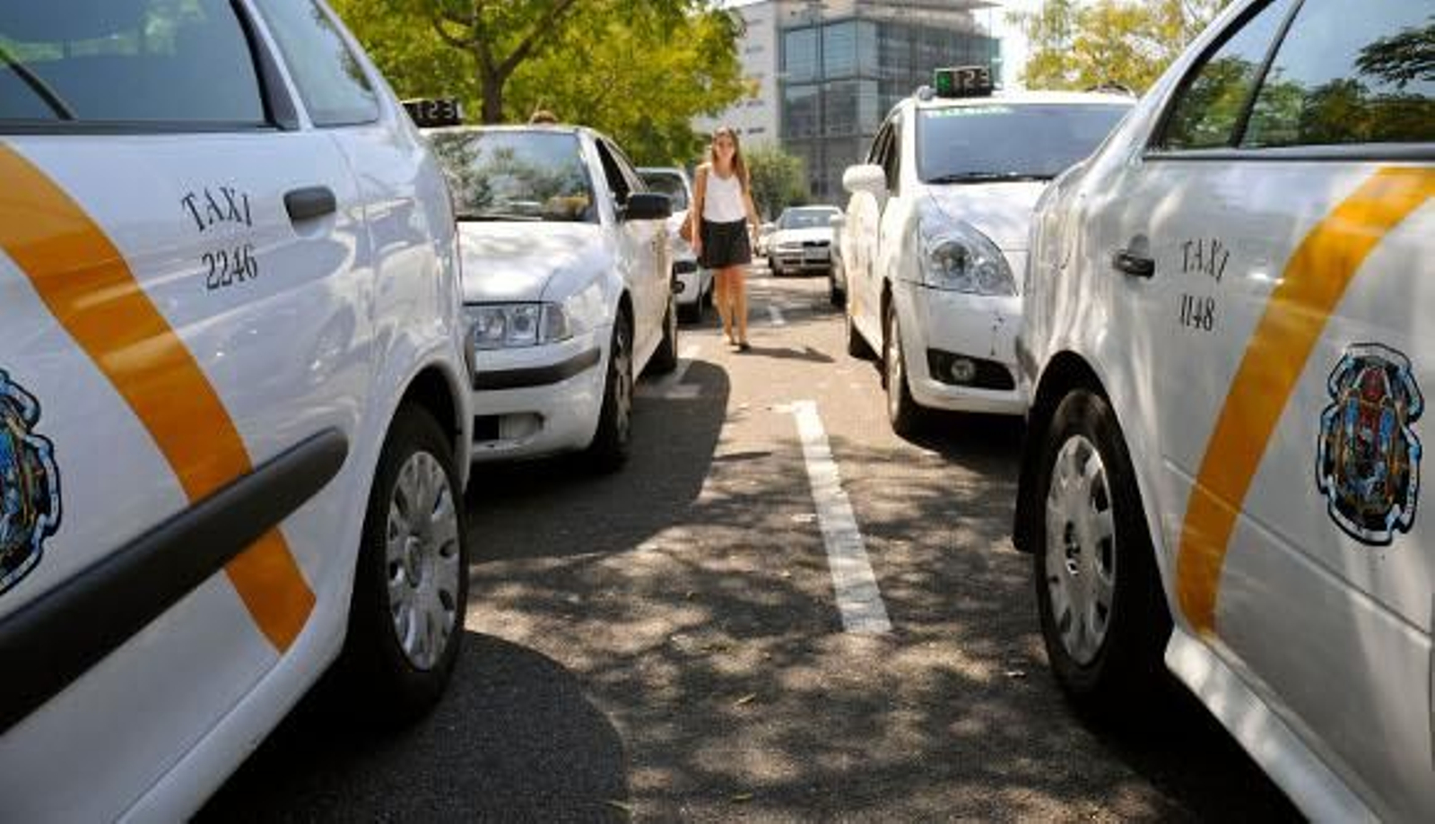 Los taxistas podrán operar de manera permanente durante la Feria
