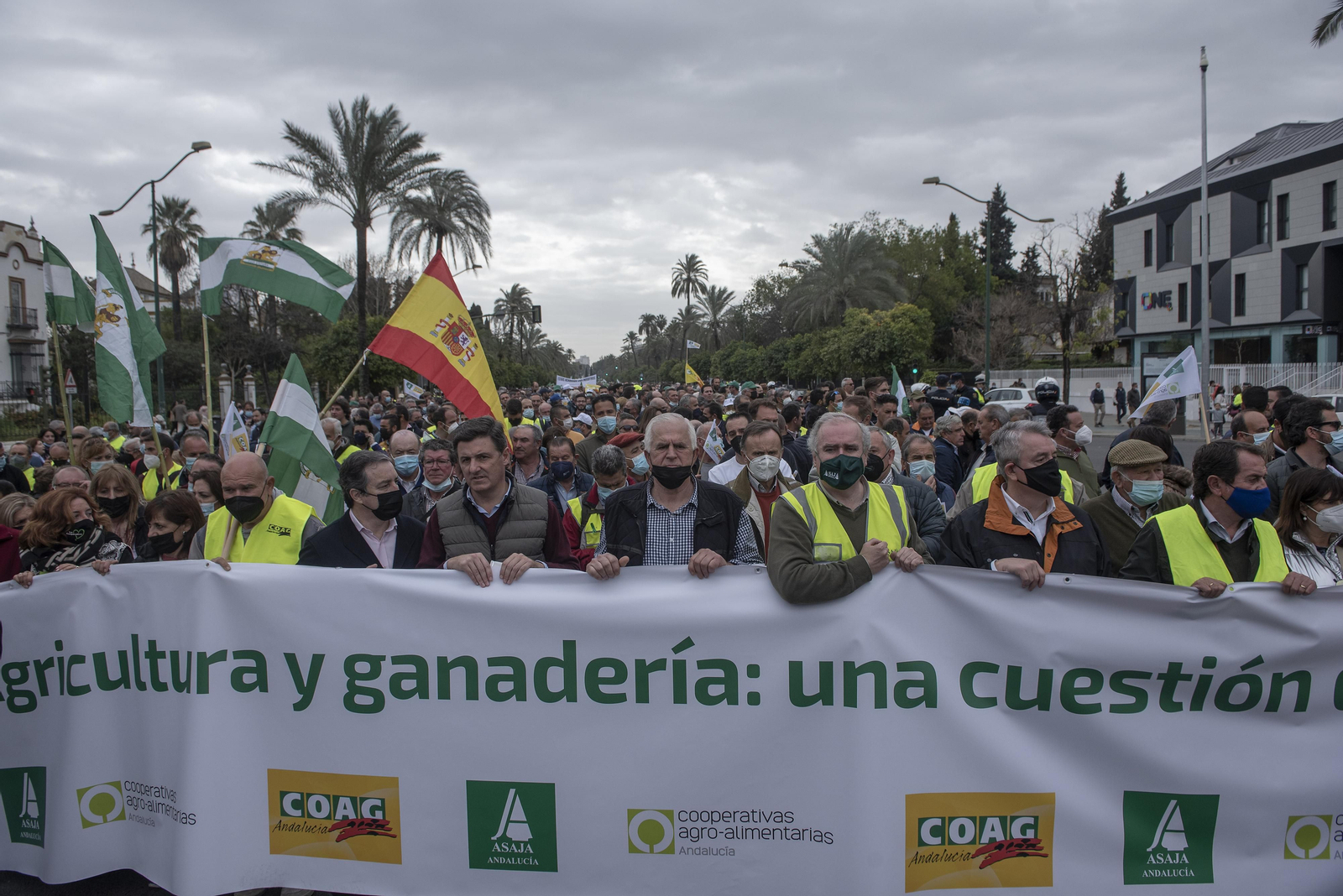 Las imágenes de la manifestación de agricultores de toda Andalucía en Sevilla
