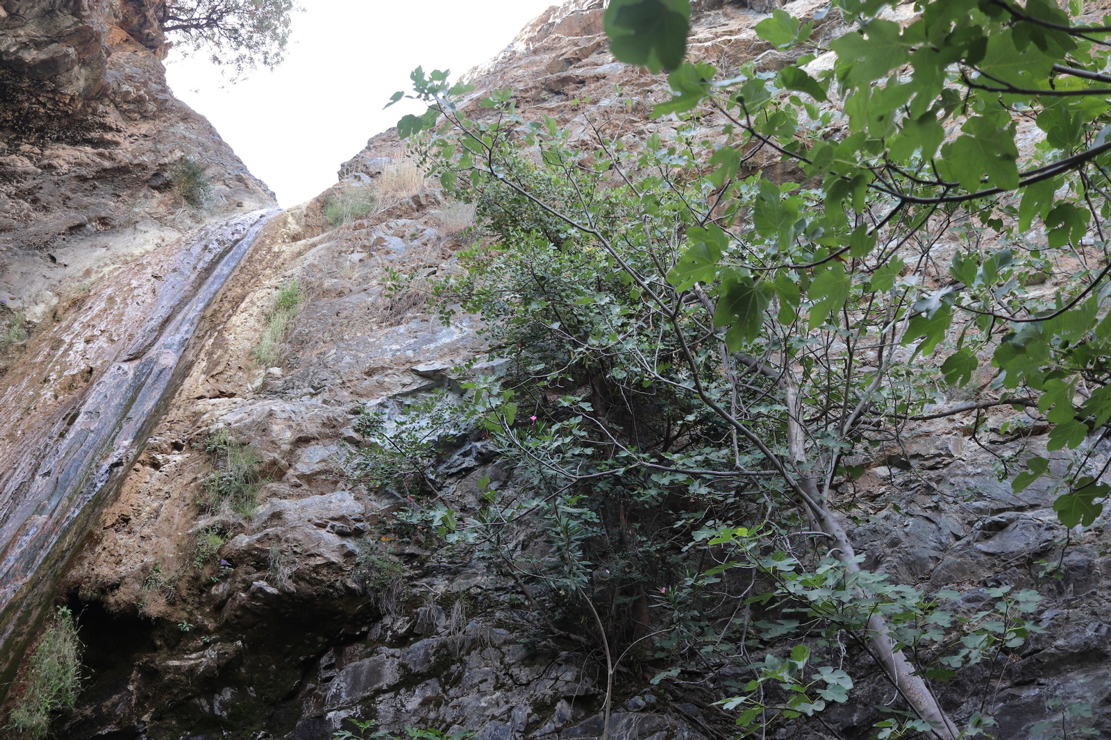 Así lucen Jorox, su entorno y su cascada, un oasis en Málaga para el caluroso verano de Andalucía