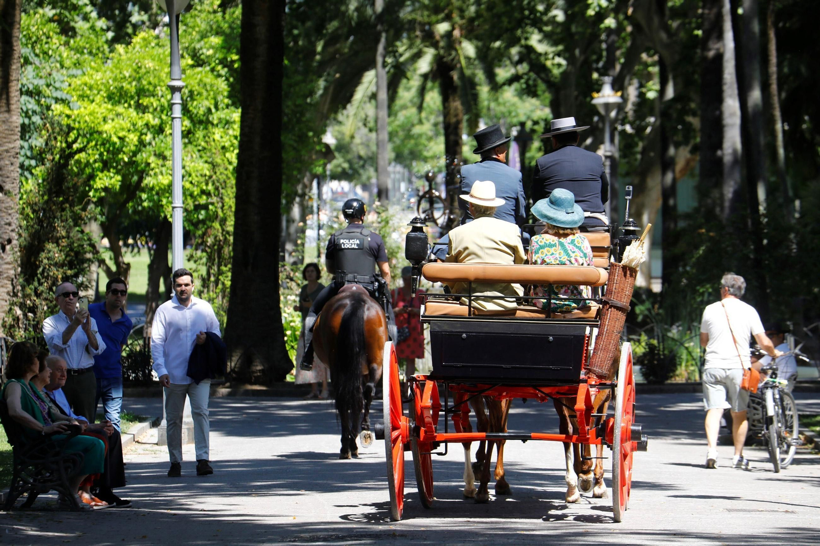 La exhibición de carruajes de tradición Nuestra Señora de la Salud, en imágenes