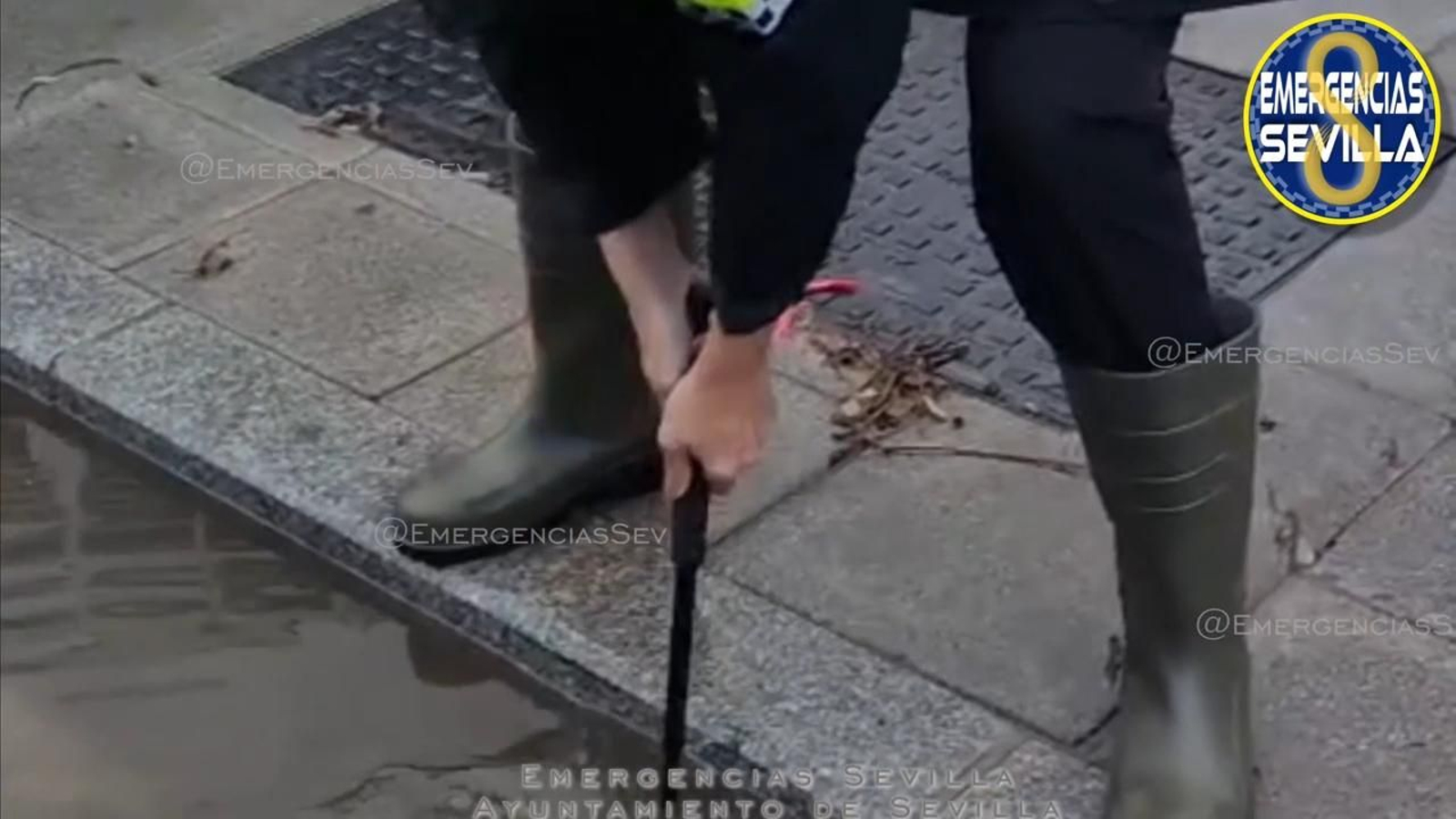 La Policía Local de Sevilla actúa en los puntos con acumulación de agua tras la tormenta de la mañana