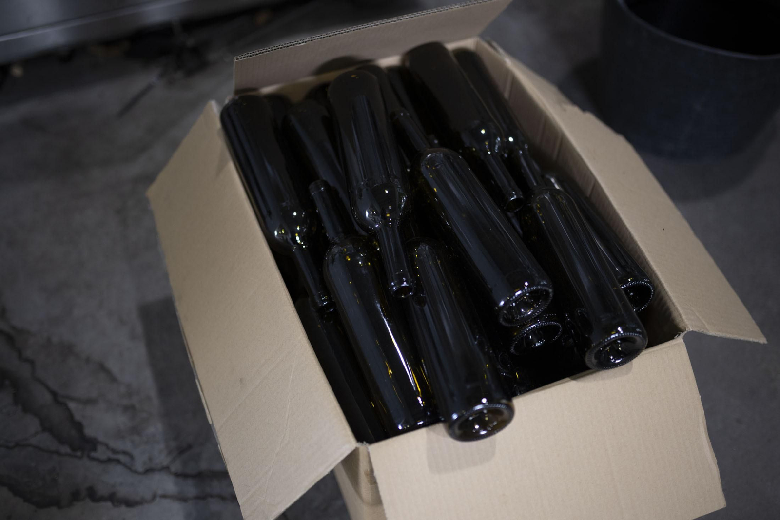 Imágenes de la vendimia en el Condado de Huelva