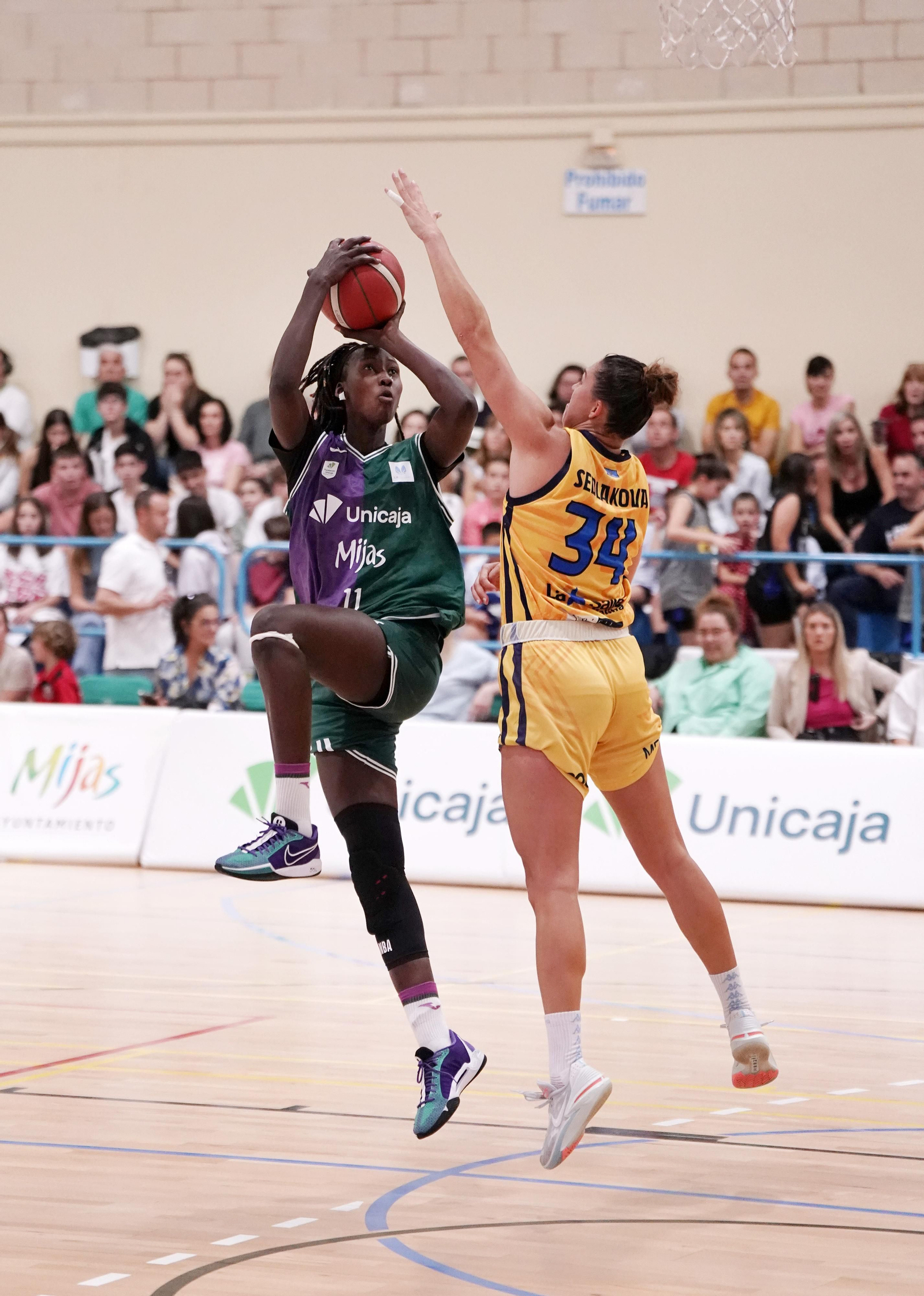 El Unicaja Mijas pierde ante el Melilla (64-66)
