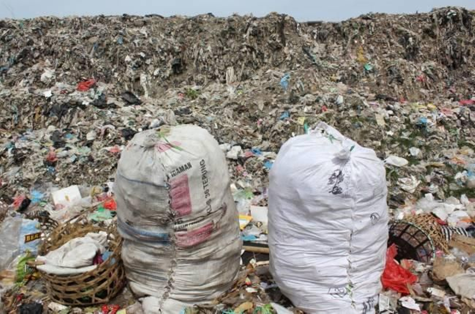 El solar se encuentra situado en Las Palmerillas